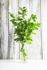 Branches of green mint in a vase.
