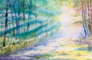 Watercolor magical forest. Throwing sunlight through trees in the forest. Illuminated by sunbeams through fog. Design element.  