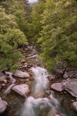 Water flowing through the Restonica Valley, in the heart of Corsica, France