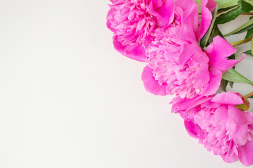 Bright fresh pink peonies lie on a light background. Copyspace, top view. The concept of a holiday, birthday, Valentine's Day, gift, declaration of love.