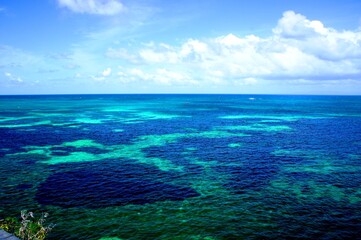 coral reef and blue Indian ocean