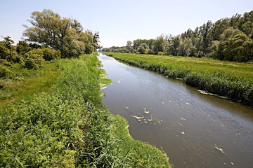 peaceful river green landscape nature