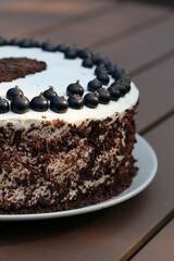 Fresh and delicious homemade summertime theme black currant, chocolate and cream cake. Topped with whipped cream, fresh berries and grated chocolate. Closeup color image.
