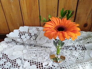 Red orange flower gerber in the glass on the white lacetablecloth 