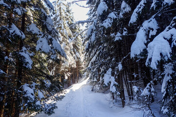 Mountain panorama of the ski area in the Lepontine Alps