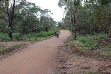 Obraz premium mountain biking in the you yangs national park