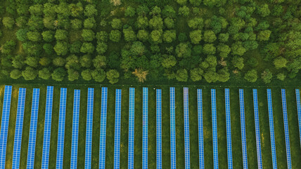 Top view of solar panels (solar cell) in solar farm with green tree and sun lighting reflect...