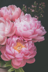 Bouquet of beautiful pink peonies