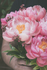 Man presents beautiful pink peonies  outdoors