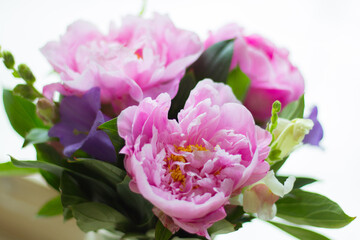 Pretty bouquet of three pink peonies by the window