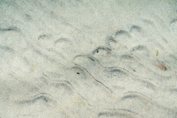 Bright wavy wet sand at the bottom of the lake. Abstract background or texture .