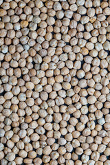 Dry chickpeas
