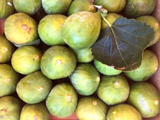 Delicious fresh raw fig fruits freshly collected, in Puglia