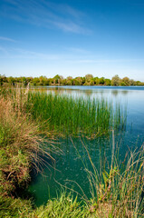 summer landscape with lake