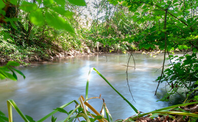 green grass and water