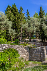 Landscaped garden near Famous Sveti Stefan Island. 6 kilometers southeast of Budva. Montenegro.