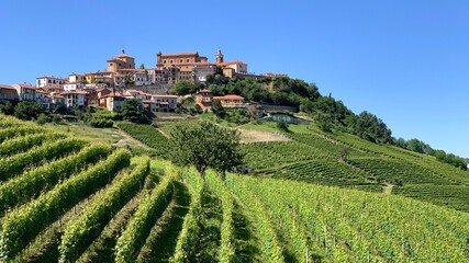 Fototapeta na wymiar panorama di La Morra e le sue vigne, nelle Langhe in Piemonte