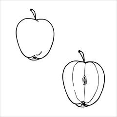 Vector illustration of apples. Two apples. Hand drawn food sketch isolated on white background.