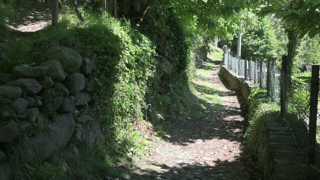 A low mountain path insinuates itself among the plants, to the right it is delimited by a wall with a net. Sunny day with a light breeze that moves the leaves.