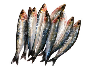 Sardinhas com sal
