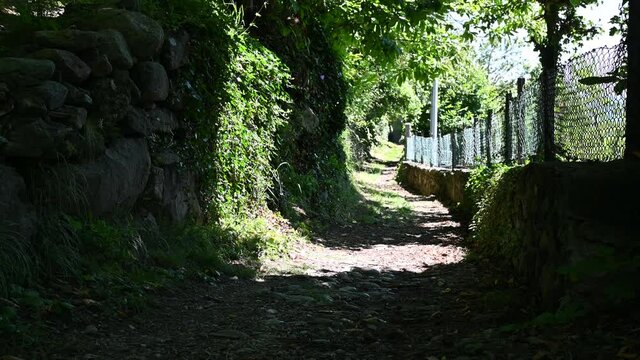 A low mountain path insinuates itself among the plants, to the right it is delimited by a wall with a net. Sunny day with a light breeze that moves the leaves.