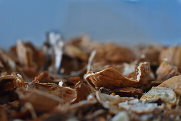 The shell of walnuts are beautiful 