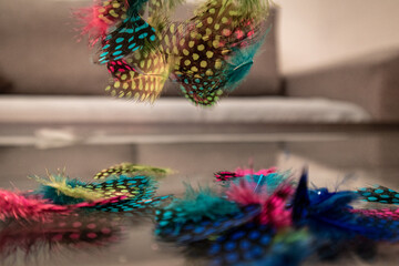 Feathers Falling On Table