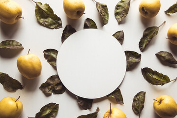 Yellow apples on a white background with old leaves, wholesome food, farming, vegetarian