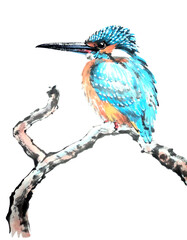 Watercolor of beautiful kingfisher, isolated object on white background. Hand drawn stock illustration of traditional chinese ink and wash painting isolated on white background. 