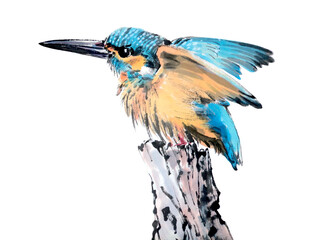 Watercolor of beautiful kingfisher, isolated object on white background. Hand drawn stock illustration of traditional chinese ink and wash painting isolated on white background. 