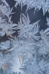 Nice frost pattern on glass in cold temperature colors for summer heat, abstract background