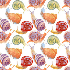 Seamless pattern with snails on a white background. Watercolor hand drawn illustration.