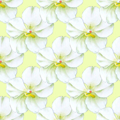 Orchid watercolor illustrations isolated on color background. Seamless pattern with white orchid.