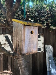 Distressed birdhouse hanging from a cherry tree