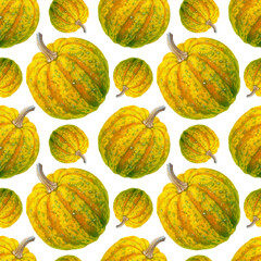 Pumpkin watercolor illustrations isolated on white background. Seamless pattern with colorful Pumpkins