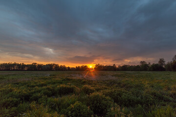Naklejka na ściany i meble colorful sunset over the Polish meadow, marshes