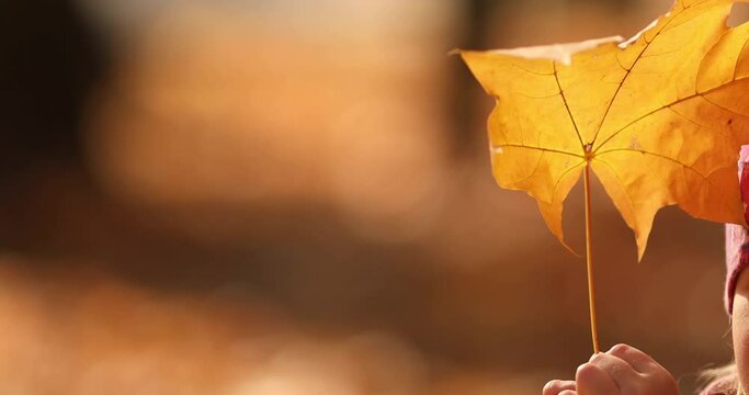 Close-up stock video of an unrecognizable child holding a yellow autumnal leaf in hands. It is flattering in the wind on blurred background.