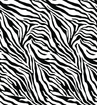 Seamless zebra pattern, animal print.