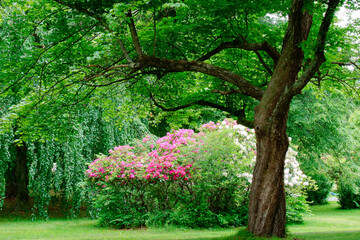 Obraz premium Beautiful landscape of Our Lady of Fatima Shrine