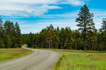Fototapeta na wymiar Dirt road passing through Umatilla National Forest in eastern Oregon, USA
