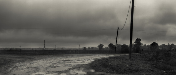 Dia gris en el campo 