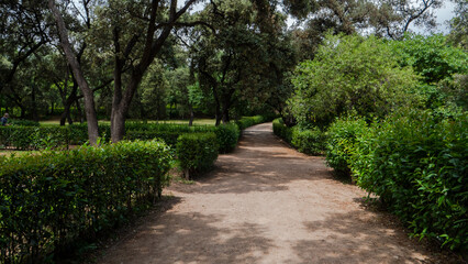 lonely wooded path in an urban park.retiro park madrid