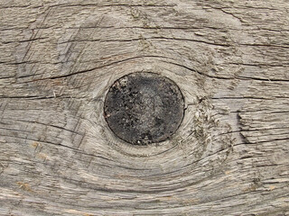 The grain of a wooden board nestles along the dark spreading knot in the middle with fine cracks everywhere as a close-up.