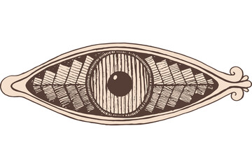 Shamanic eye - engraving style. Brown colored line artwork. Mystical occult witch eye. Shamanic sticker. Vector illustration