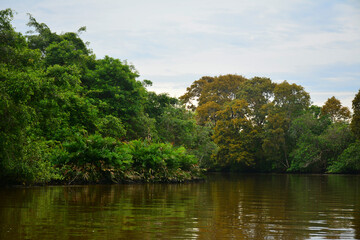Klias River in Sabah, Malaysia