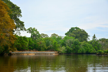 Fototapeta na wymiar Klias River in Sabah, Malaysia