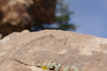 Close up of a sandstone rock with glittering minerals and dry lichens