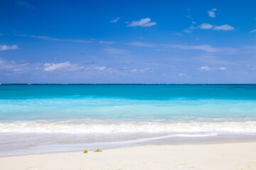 Fototapeta na wymiar Idyllic Caribbean beach with turquoise water and white sand
