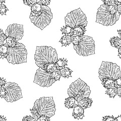 Hand drawn sketch style filbert fruits seamless. Vector background. 