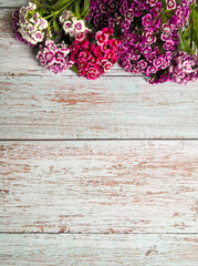 Sweet william flowers on wooden surface shot from above. Top view, flat lay, copy space. Greeting card, Mother's day and Valentine's day concept.